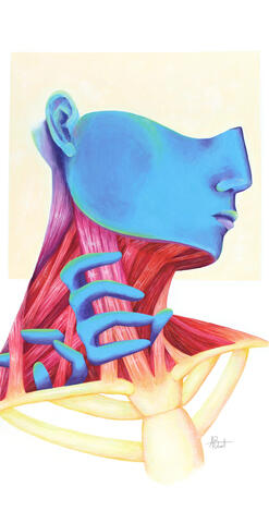 Anatomy #1 - Acrylic Painting Anatomy #1 - Acrylic Painting