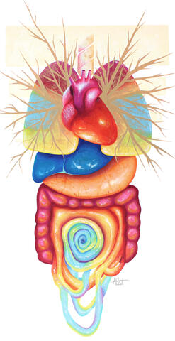 Anatomy #3 - Acrylic Painting Anatomy #3 - Acrylic Painting