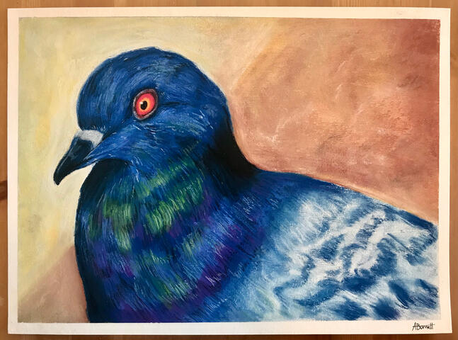 Pidgeon - Pastels Pidgeon - Pastels
