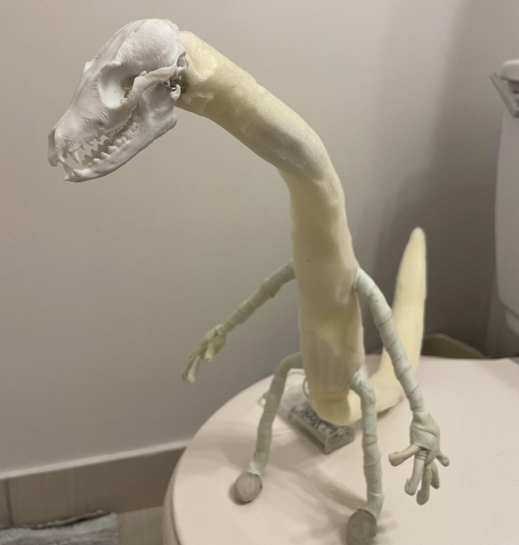 Animation model Animation model