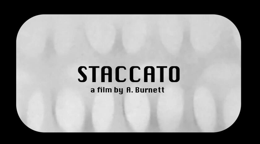 Staccato (2025) Staccato (2025)